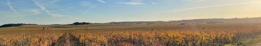 Vinice Domaine Grand Veneur Alain Jaume