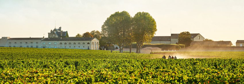 Chateau Mouton Rothschild