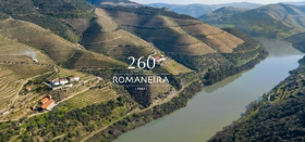 Quinta da Romaneira