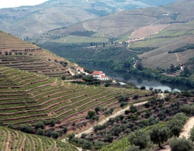 Quinta da Romaneira