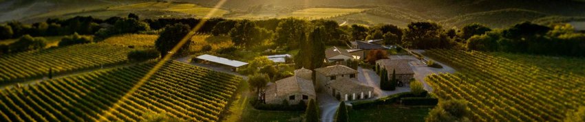 Talenti Brunello Montalcino