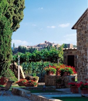 Brunello di Montalcino