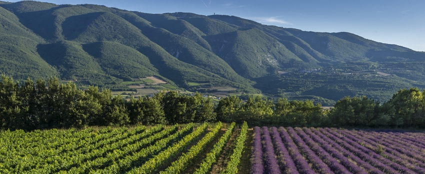 Ventoux a Luberon Ventoux a Luberon