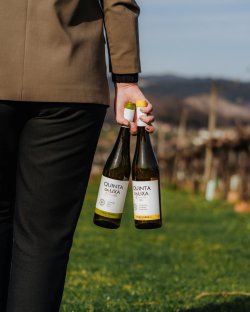 Vinho Verde