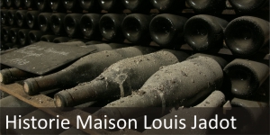 Historie vinařství Maison Louis Jadot