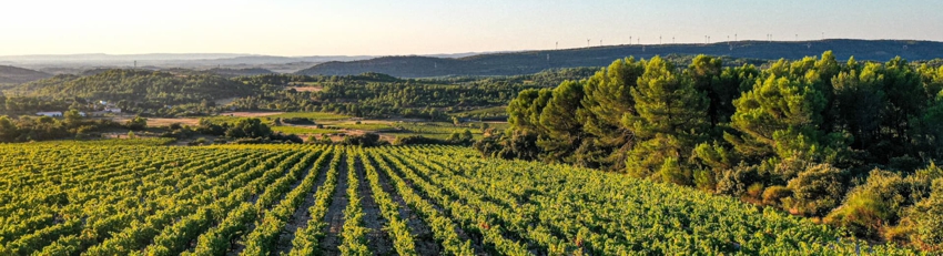 Domaine Sainte Leocadie