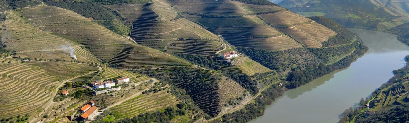 Portská vína a vína z Douro - Quinta da Romaneira