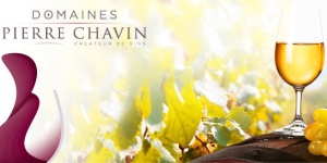 Nealkoholická vína Pierre Chavin