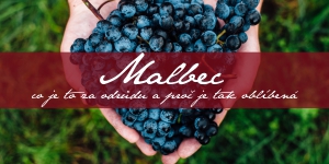 Malbec Day