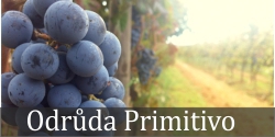 Primitivo