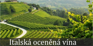 Italská oceněná vína