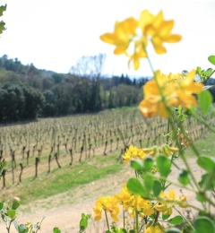 Novinky v našem e-shopu Novinky v e-shopu