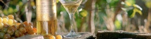 Likérová - dezertní vína