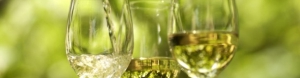 Zelená vína - Vinho Verde