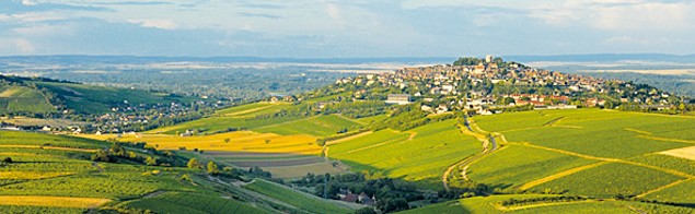 Sancerre Sancerre