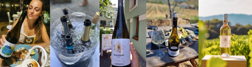 Letní vína 2023 Letní vína 2023